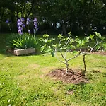 Bed & Breakfast D'hote Monthorin Vernie