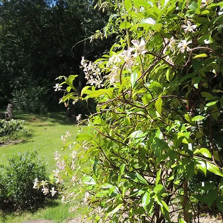 D'hote Monthorin Bed & Breakfast