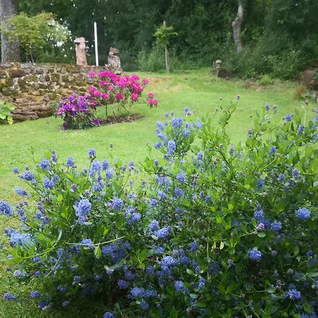 Bed & Breakfast D'hote Monthorin